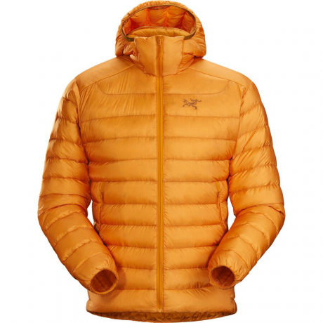 Arc'teryx Cerium LT Hooded Down Jacket - Men's for Sale, Reviews ...