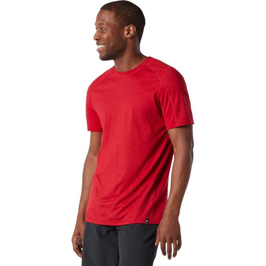 Smartwool Merino Sport 150 Hidden Pocket T-Shirt - Men's for Sale, Reviews,  Deals and Guides
