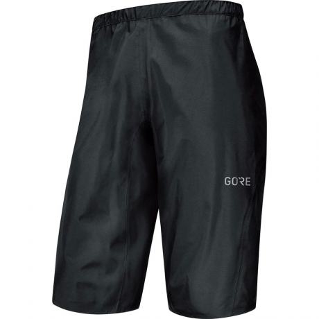 Gore Wear C5 Gore-Tex Active Trail Short - Men's Photo
