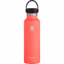 Hydro Flask 21oz Standard Mouth Water Bottle