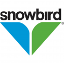 Utah Avalanche Center Snowbird Single Day Adult Lift Ticket - 20/21